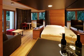 Hotel Der Bär - Udsigt fra værelset