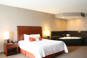 Hilton Garden Inn Columbus/Edinburgh - Habitación