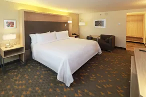 Holiday Inn - Ciudad Juarez by IHG - Chambre
