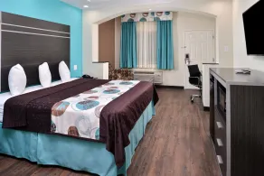 Americas Best Value Inn & Suites Spring / N. Houston - Værelse