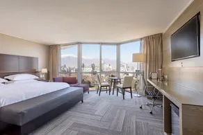 Sheraton Santiago Hotel & Convention Center - View from room