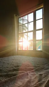 Bamboleo Inn Belize - Room