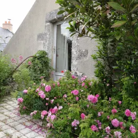 Au Moulin Géant - Værelse