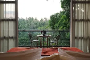 Bisma Eight Ubud - View from room