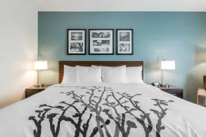 Sleep Inn and Suites - Ankeny - Chambre