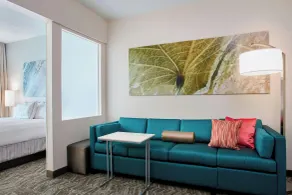 Springhill Suites by Marriott Chicago Schaumburg/Woodfield Mall - Chambre
