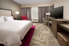Hampton Inn by Hilton Hattiesburg - Chambre