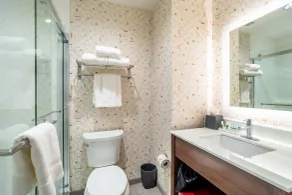 Holiday Inn Columbia - Downtown by IHG - Baño