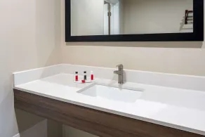 Ramada by Wyndham Modesto Yosemite Area - Salle de bain