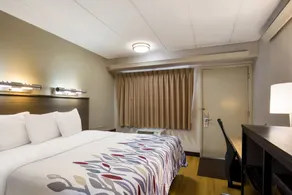 Red Roof Inn Wilkes-Barre Arena - Chambre
