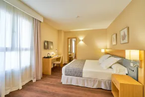 Hotel Guadalmedina - Chambre