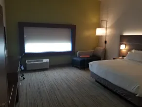 Holiday Inn Express & Suites - Fort Mill by IHG - Chambre
