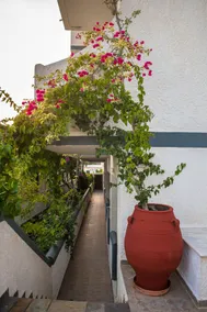 Fevro Hotel - Vistas desde la habitación