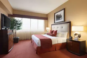 Embassy Suites by Hilton Kansas City International Airport - Chambre