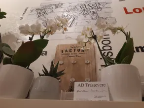 AD Trastevere Guest House - by AD Roma - Rezeption