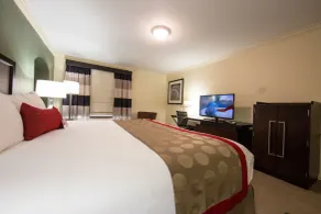 Ramada by Wyndham Houston Intercontinental Airport East - Chambre