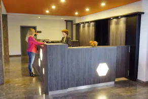 Trans World Hotel Auefeld - Recepción