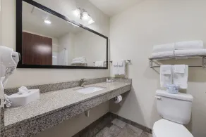 Cobblestone Hotel & Suites - Urbana - Salle de bain