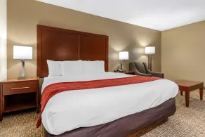 Comfort Inn & Suites Cincinnati Eastgate - Chambre