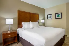 Comfort Inn Acworth - Kennesaw Northwest - Chambre