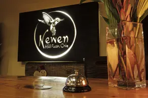 Newen B&B - Reception