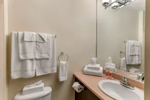 Econo Lodge Hotel Brossard - Salle de bain