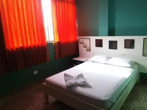 Plaza Jungle Hostel - Room
