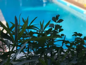 La Rocca Residence - Pool