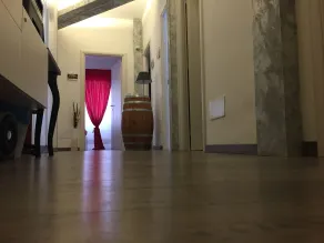 De Guestibus - Réception