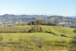 Vista sul Forte - Vista dalla camera