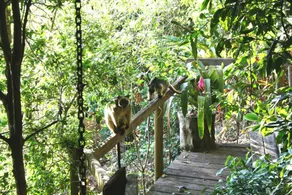 Mt Quincan Crater Retreat - Vista do quarto