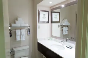 Holiday Inn Windsor - Ambassador Bridge by IHG - Chambre