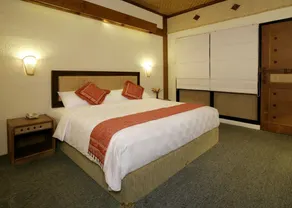 Nugraha Lovina Seaview Resort & Spa - Room
