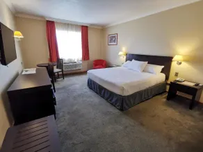 Hotel Diego De Almagro Rancagua - Room