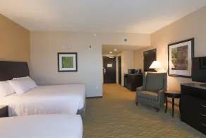 Hilton Garden Inn Indiana at IUP - Chambre