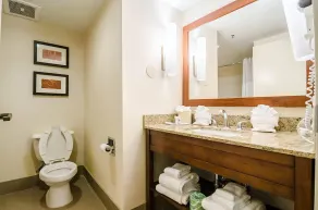Comfort Suites Innsbrook - Short Pump - Salle de bain