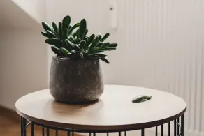 The Hygge Lisbon Suites - Estrela - Vestíbulo