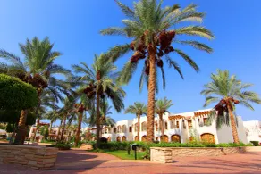 Coral Hills Resort Sharm El-Sheikh - Chambre