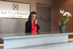 Hôtel Aux Vieux Remparts - Reception