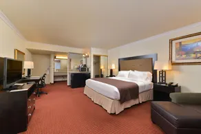 Holiday Inn Rancho Cordova - Northeast Sacramento by IHG - Chambre