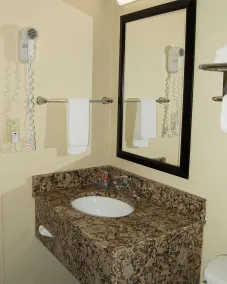 Econo Lodge Lexington Downtown near I-81 - Salle de bain