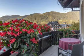 Garni Hotel Miklič - Udsigt fra værelset