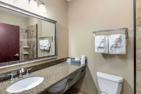 Comfort Inn & Suites Fort Worth - Fossil Creek - Salle de bain