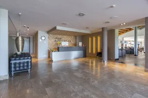 ARTIEM Asturias - Reception