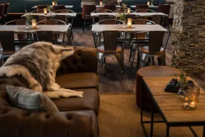 Mountain Lodge - Restaurang
