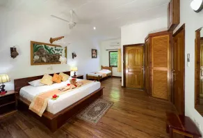 Cocotier du Rocher - Room