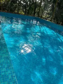 Green Breeze Resort - Pool