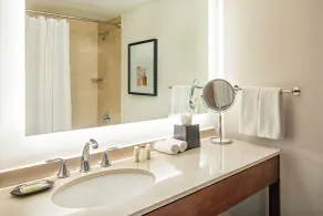 Sheraton Boston Needham Hotel - Salle de bain