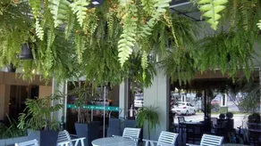 Canoas Parque Hotel - Restaurante