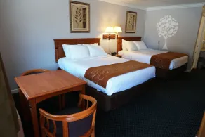 Journey Inn - Chambre